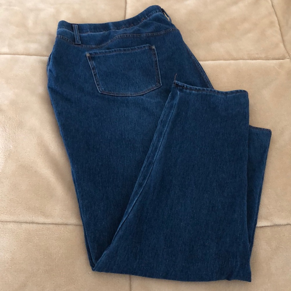 Terra & Sky Denim Jegging